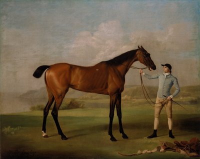 Molly Long-legs with her Jockey by George Stubbs